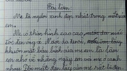 bai van ta me rang vang khe sau doi moi do cua hoc sinh lop 5 gay bao mang xa hoi