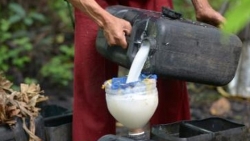 uong ruou dua 11 nguoi chet 300 nguoi nguy kich