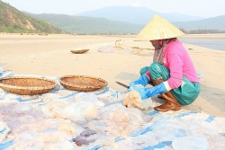 nghe vot vang trang tren bien thu nhap cao hon danh bat ca