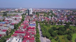 tinh nao cua viet nam khong co nui