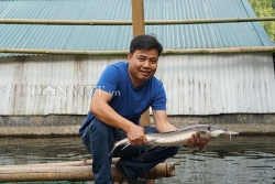 trai ha thanh bo nghe giao vien ben duyen voi ca ten lua