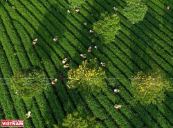 Phong cảnh Việt Nam - những bức hình tuyệt đẹp nhìn từ trên cao
