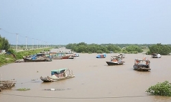 Tin bão số 2: Di dời hàng nghìn người dân Thái Bình, Nam Định, Ninh Bình đến nơi an toàn