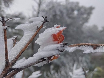 mien bac chuan bi don dot ret dam moi mua tuyet tiep tuc xuat hien