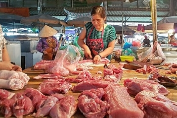 viet nam sap san xuat duoc vaccine phong dich ta lon chau phi