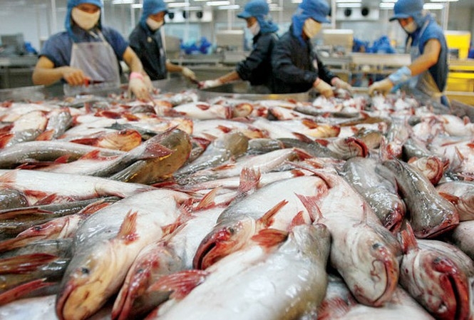 Campuchia cho phép nhập khẩu 4 loại cá Việt Nam trở lại
