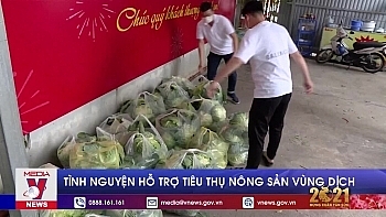 tinh nguyen ho tro tieu thu nong san vung dich