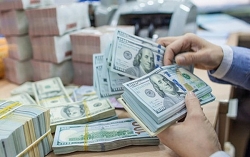 ty gia ngoai te hom nay 312 usd tiep tuc di ngang euro tang them gan 100 dong