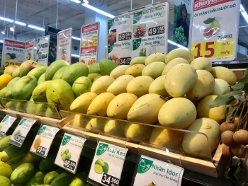 xoai viet xuat khau sang my duoc gia cao