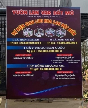 tong cuc thue yeu cau giam sat giao dich lan dot bien hang tram ty dong