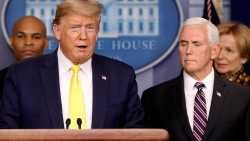 chung khoan my tang vot nho tac dong cua gia dau