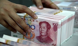 ty gia ndt hom nay 184 giam 5 dong ngay dau tuan