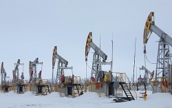 gia xang dau hom nay 265 tang nhe tro lai