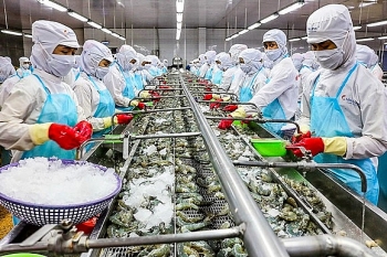 bo cong thuong khuyen cao doanh nghiep xuat khau sang an do can mua bao hiem voi tat ca cac lo hang
