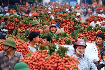 de thao go kho khan cho xuat khau nong san cac vung vai thieu can da dang nguon tieu thu