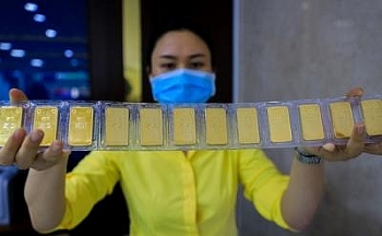 gia vang hom nay 1382020 hoi phuc nhanh ngoai du doan cua chuyen gia