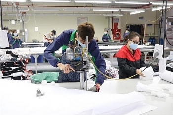 12 tinh tham gia hop truc tuyen dien dan evfta co hoi hop tac chien luoc huong toi su phat trien ben vung