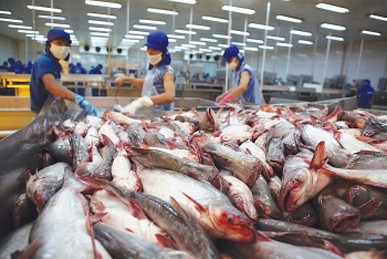 Xuất khẩu thủy sản Việt Nam vào EU tăng đột biến