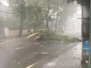 hue mot chuyen vien phong gddt tu vong do bao so 5