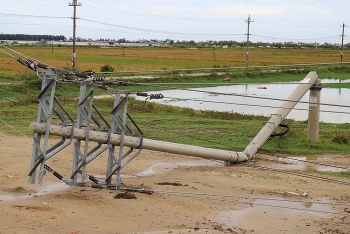 Hàng trăm cột điện bị gãy, đổ sau bão có thể do chất lượng kém?