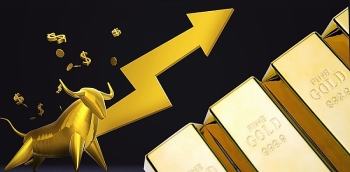 bau cu my khien gia vang tang thang dung