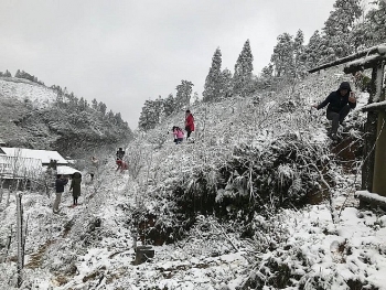 thoi tiet ngay 81 bac bo nhieu noi xuong duoi 0 do c