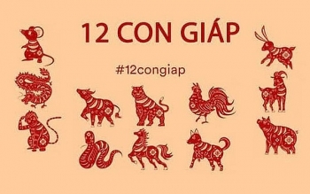 12 con giap nen kieng gi trong thang cu mat de tranh tien mat tat mang