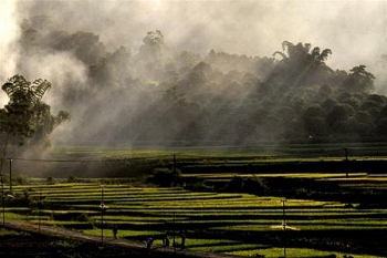 thoi tiet ngay mai 191 bac bo ngay nang am dem ret dam ret hai