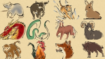 nhung thang van han trong nam tan suu 2021 cua 12 con giap su nghiep xuong doc tinh cam lao dao