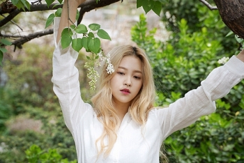 tu vi hom nay 2912021 con giap nao cong viec dien ra suon se nhat