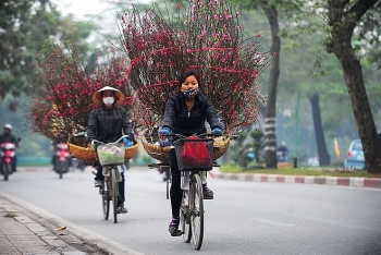 thoi tiet 10 ngay toi 311 1022021 ha noi don tet ong cong ong tao trong tiet troi lanh mua phun