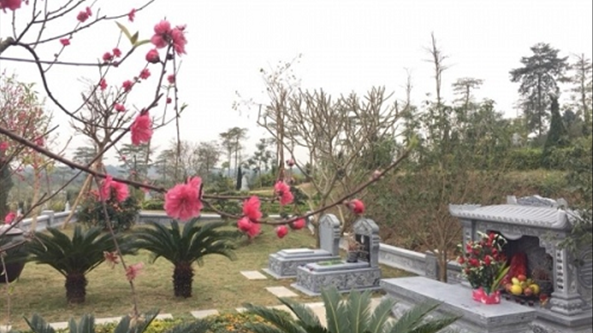 tao mo cuoi nam va nhung dieu can biet