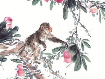 tuoi xong dat nam 2021 cho nguoi tuoi than de moi viec hanh thong