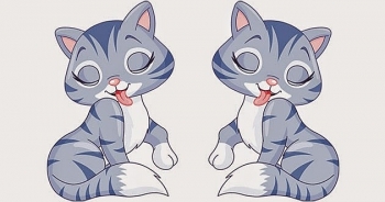 tu vi tuoi mao thang 32021 cong viec hanh thong tinh duyen khoi sac