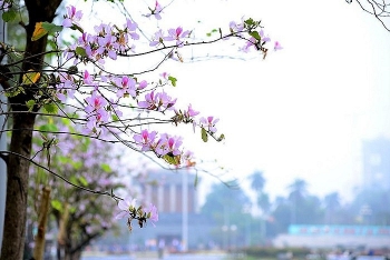 thoi tiet ngay mai 33 khong khi lanh tiep tuc gay mua cho cac tinh mien bac