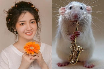 tu vi tuan moi 83 den 143 cua tuoi ty cong danh su nghiep suc khoe tinh duyen