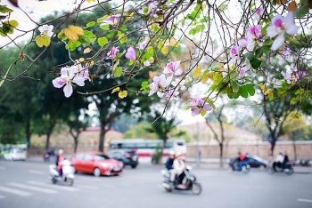 thoi tiet 10 ngay toi 73 173 bac bo dem va sang troi ret ngay nang