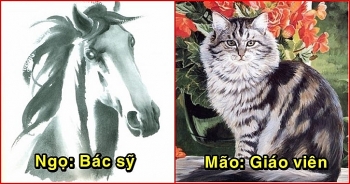 12 con giap lam nghe gi hop menh thuan loi du duong tien tai sinh soi