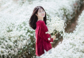 tu vi hom nay 183 tinh duyen con giap nao vuong sac nhat