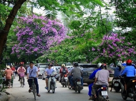 Dự báo thời tiết ngày 5/7: Ngày cuối tuần đẹp trời, mưa lớn vào sáng sớm