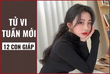 tu vi chiem tinh tuan moi 277 den 282020 ve tinh yeu cua 12 con giap thin dau tim duoc tinh yeu dich thuc