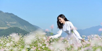 tu vi hom nay 107 con giap nao van dao hoa khoi sac