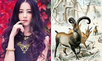 tu vi tuan moi 127 den 1872021 tuoi mui tai van co chieu huong di xuong