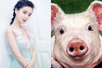 tu vi tuan moi 267 den 182021 tuoi hoi gap nhieu ap luc ve tai chinh