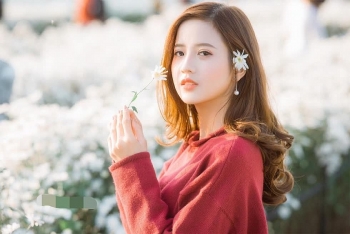 tu vi chiem tinh hom nay 1882020 ve cong viec cua 12 con giap than tai loc khoi phat