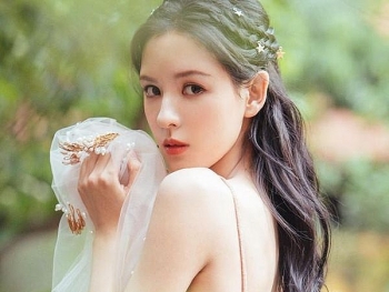 tu vi chiem tinh tuan moi 248 den 3082020 ve tinh yeu cua 12 con giap tuoi ngo van dao hoa vuong sac