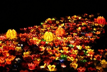 nhung viec nen lam trong ngay ram thang 7