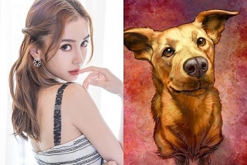 tu vi tuan moi 238 den 2982021 tuoi tuat lam gi cung khong thuan