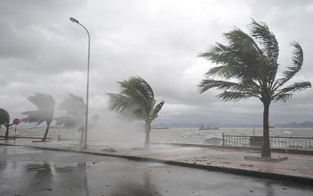 Thông tin khẩn cấp bão số 5: 12 giờ tới cách Đà Nẵng 220km, gió giật cấp 13