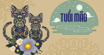 tu vi tuan moi tuoi mao 139 den 1992021 su nghiep gap nhieu thach thuc